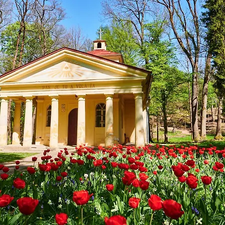 Palace - Kupele Hotel 3*
