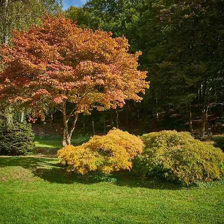 Szálloda Palace - Kupele 3*