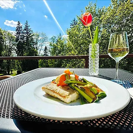 Palace - Kúpele 3* Sliač